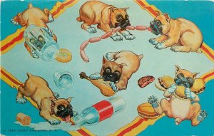 Postcard 1950s Playful  boxer dogs comic Humor Dexter TP24-2822