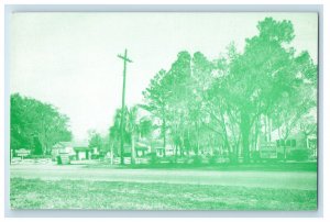 Shepard's The Family Court At Silver Spring Florida FL Unposted Postcard