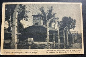 Mint Poland Postcard RPPC Concentration Camp Blockfuhrers Of Auschwitz