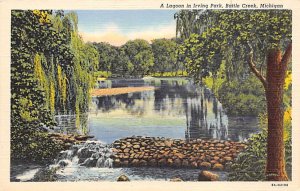 A Lagoon In Irving Park Battle Creek, Michigan MI  