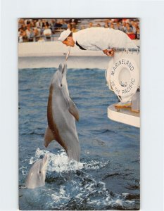 Postcard Zippy Marineland Of The Pacific Palos Verdes California USA