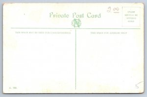 Kettle Creek, St Thomas Ontario Canada, Antique Nerlich & Co Postcard