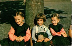 Vtg 1960 Amish Children relax under a tree Pennsylvania Dutch Country Postcard