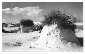 H56/ White Sands National Monument New Mexico RPPC Postcard c1950s  2