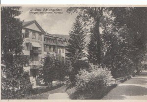 Germany Postcard - Wildbad Schlangenbad - Mittleres Und Unteres Kurhaus - 3103A