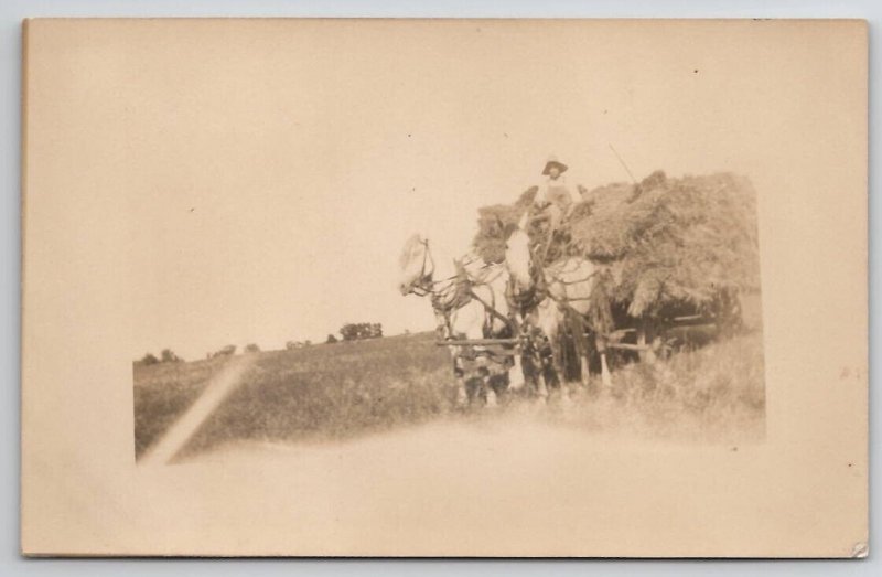 RPPC Farmer With His White Horse Team Large Hay Wagon Real Photo Postcard S22