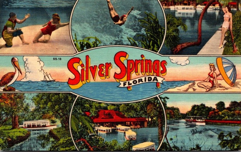 Florida Silver Springs Multi View