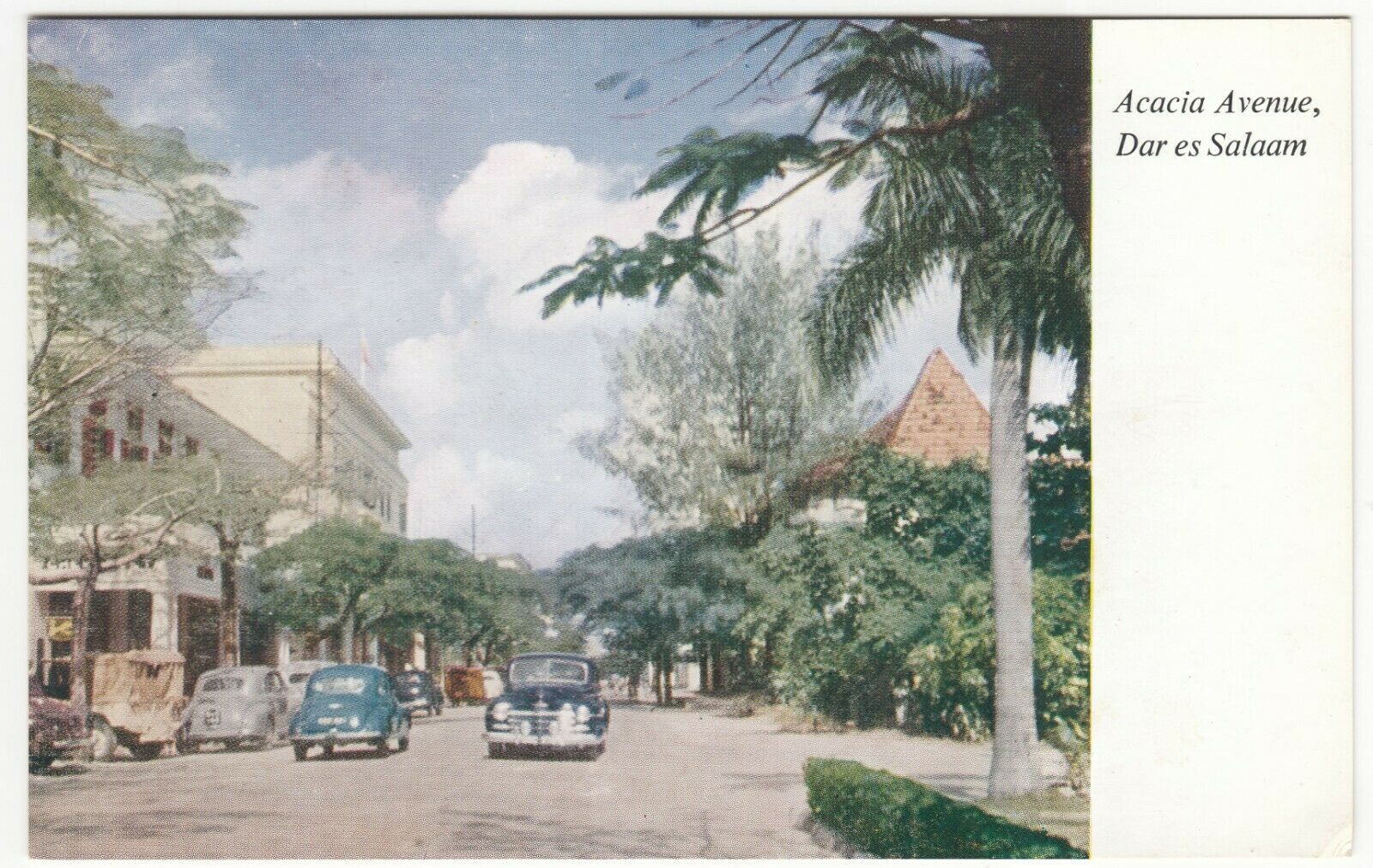 Tanzania; Acacia Ave, Dar Es Salaam, No 6 PPC By Dar Es Salaam