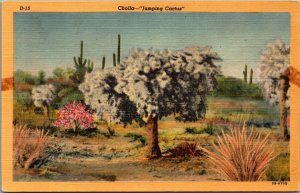 Cholla Jumping Cactus Arizona Linen Postcard C352