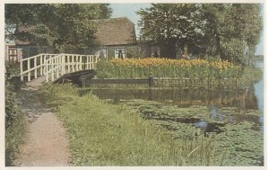 Ankeveen Holland Vintage River Reflections Dutch Postcard