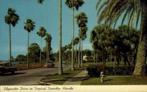 Edgewater Drive - Dunedin, Florida FL