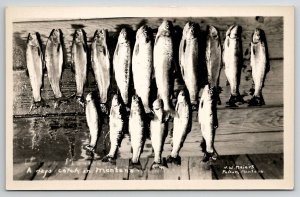 Fish A Days Catch In Montana RPPC J W Meiers of Polson Real Photo Postcard K24