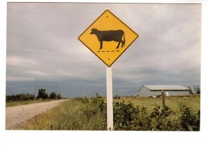 Cow Crossing Sign, 1979 The Rolling Landscape