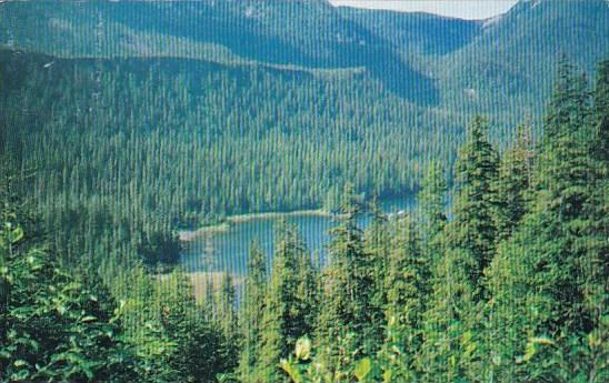 The Future Of Alaska's Tongas National Forest Alaska 1988