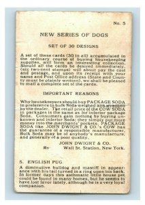 1900s Dwight's Soda New & Champion Dog Series Bobtail Sheep Dog Lot Of 5 P222