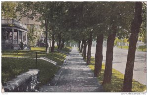 DANGILLE, Illinois, PU-1912; North Vermilon Stree, Looking North From Cannon?...