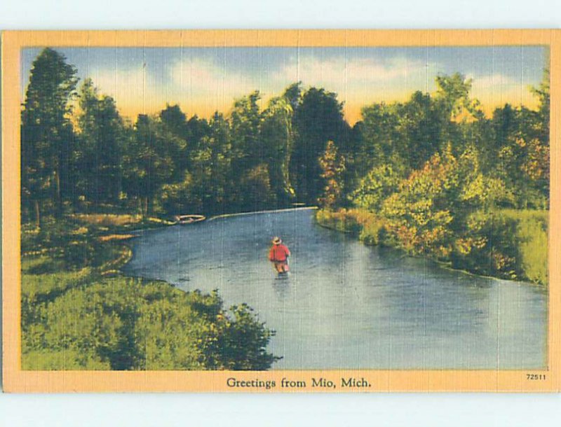 Linen NATURE SCENE Mio - Near Grayling & Roscommon Michigan MI AD6762