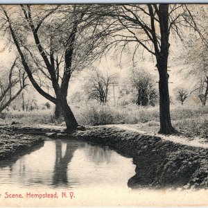 c1910s Hempstead, NY A Winter Scene Creek Telegraph Line Woods Postcard A117