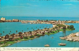 USA The Palm Lined Causeway Connecting Clearwater Beach Florida Postcard BS.09