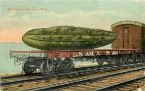 c1915 Postcard Exaggeration Huge Cucumber on L.S.& M.S. RR Flatcar Agriculture