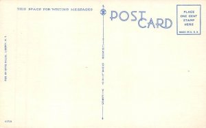 Murray Hill Farm Shandelee, New York NY Postcard