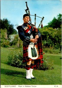 Scotland Piper In Wallace Tartan