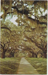 Brookgreen Gardens Georgetown County South Carolina Mailed 1977 nine cent stamp