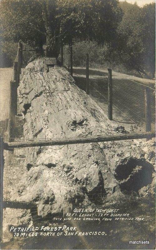 1920s Petrified Forest Queen Sonoma Calistoga California RPPC Real Phot