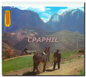 Postcard Modern Light and Color of Roussillon peasant Scene high Vallees