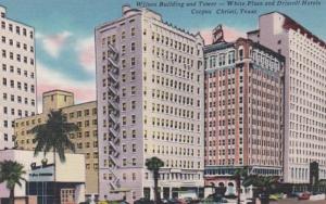 Texas Corpus Christi Wilson Building and Tower