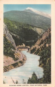 A893 Canada Kicking Horse Canyon Yoho National Park vintage postcard