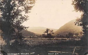 Kent Connecticut Macedonia Valley Real Photo Antique Postcard J52767