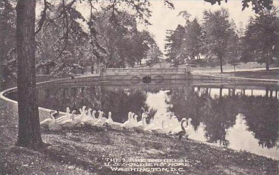 Washington DC The Lake And Geese U S Soldiers Home Albertype