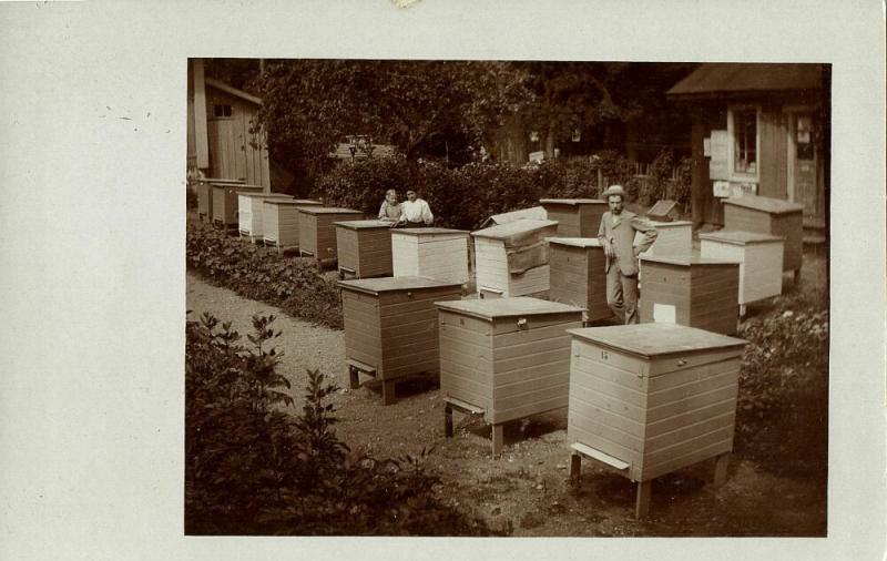 Apiary Beekeepers Beekeeping Beehive Bee (1910s) RPPC Postcard