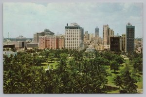 Miami Florida~Skyline Behind Lush Bayfront Park~Vintage Postcard