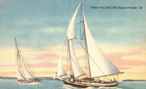 Vintage Postcard Under Full Sail Boating and Fishing Water Sports Sunny Florida