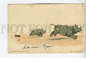 462156 HUNT rhinoceros DACHSHUND by RP Vintage postcard Philipp Kramer LITHO