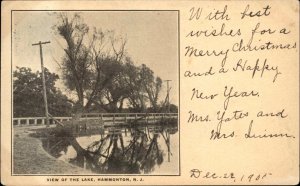 Hammonton New Jersey NJ View of the Lake 1905 Used Postcard