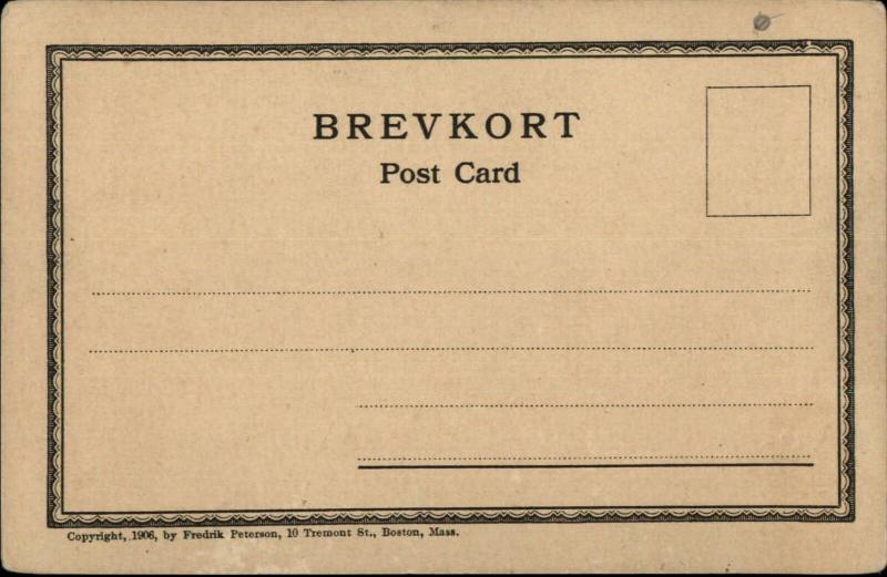 Hands Across the Sea Unity c1910 Postcard UNITED STATES & DENMARK FLAGS 