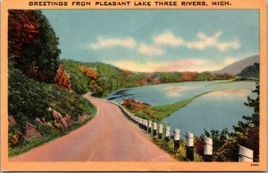 Scenic View, Greetings from Pleasant Lake Three Rivers MI Vintage Postcard U77