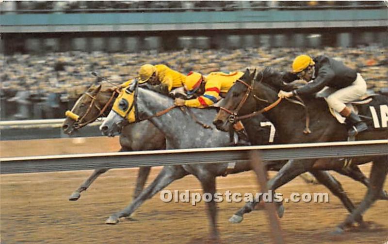 Aqueduct The Big A, Field Long Island, NY, USA Horse Racing Unused yellowing ...