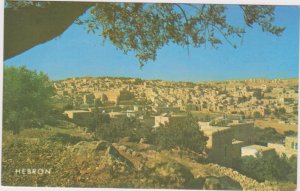 General View Of Hebron, Israel, 40-60s