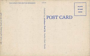 Flame Vine In the Sunshine State - Flowers, Florida FL Postcard