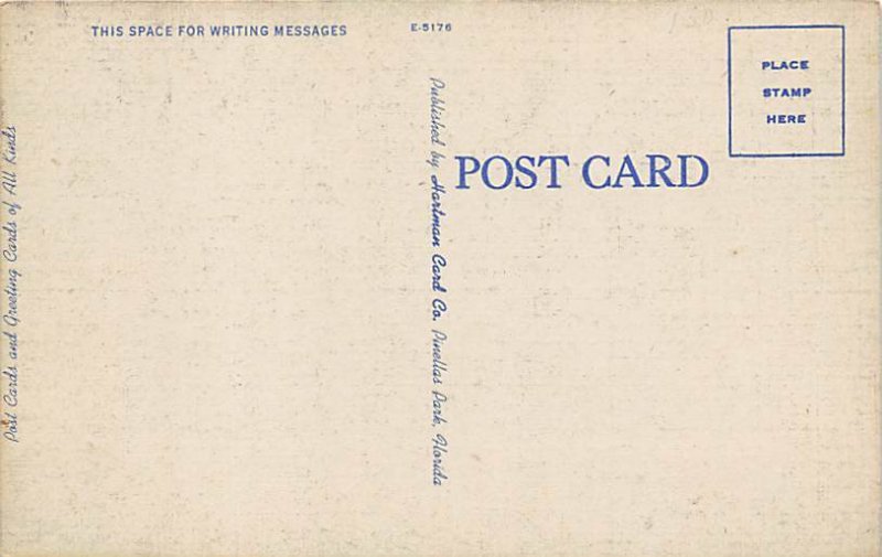 Flame Vine In the Sunshine State - Flowers, Florida FL Postcard