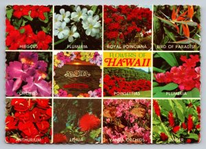 Flowers Of Hawaii Multiview Vintage Unposted Postcard