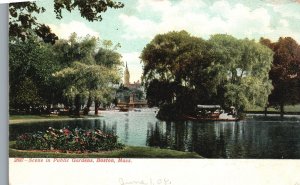 Vintage Postcard Scene Public Gardens Landscapes Lake Boats Boston Massachusetts