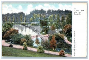 1907 View Lake River Bridge Glen Park Peoria Illinois Vintage Antique Postcard