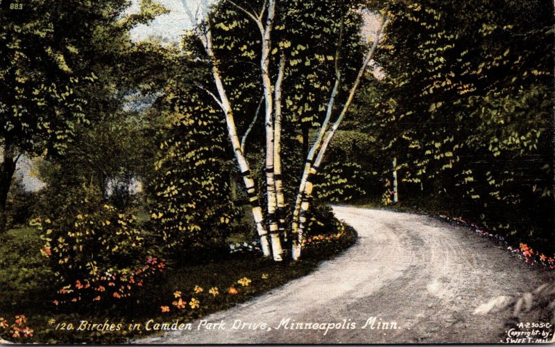 Minnesota Minneapolis Birches In Camden Park Drive