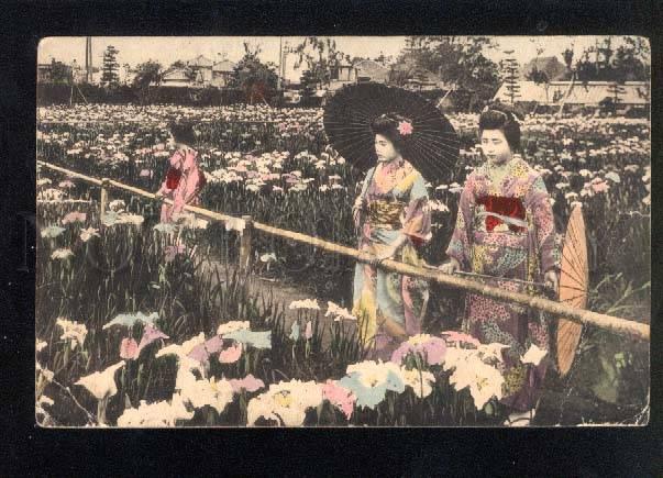 040603 Japan Geisha girls & flowers Vintage tinted