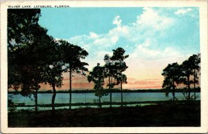 Vtg 1920s Silver Lake Leesburg Florida FL Lake County White Border Postcard